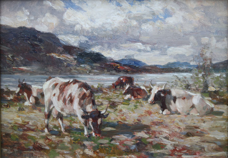 andrew douglas impressionist highland cattle -richard taylor fine art