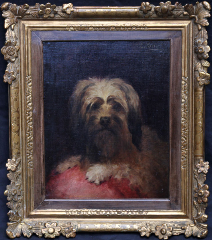 edouard krug  - portrait of a terrier dog - richard tayl;or fine art