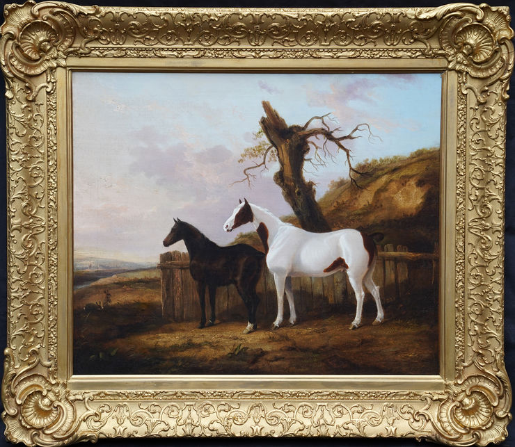 British Portrait of Horses in a Landscape by George Cole at Richard Taylor Fine Art