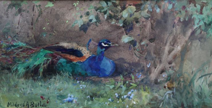 Mildred Anne Butler - peacocks - Killmurry Ireland - Richard Taylor Fine Art