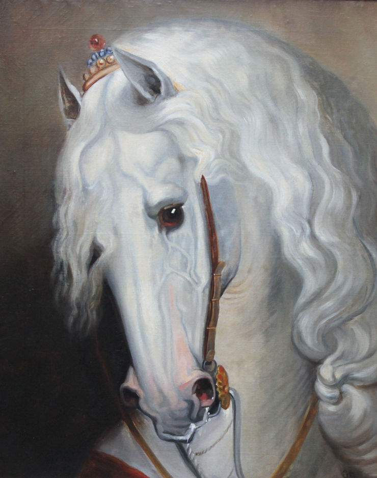 old master dutch  - lipizzaner stallion- richard taylor fine art