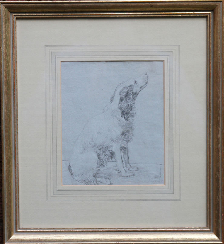 sawrey gilpin  (circle) - spaniel dog - richard taylor fine art