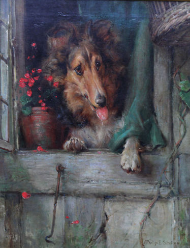 Collie Dog at a Cottage Window