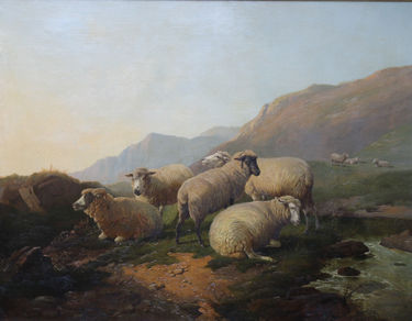 Sheep in an open landscape