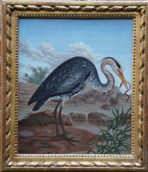 Anglo Indian  - Old Master  - Heron - Richard Taylor Fine Art