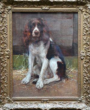 Sam Fulton - English Springer Spaniel   -  Richard Taylor Fine Art