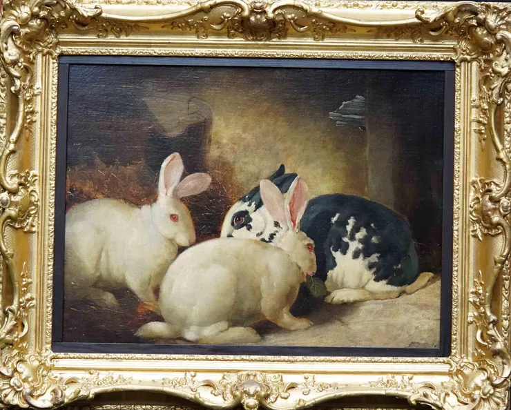 British Victorian Rabbits at Richard Taylor Fine Art