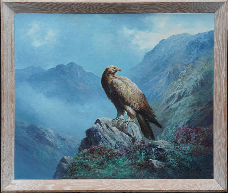 Scottish Golden Eagle in Landscape by Douglas Falconer at Richard Taylor Fine Art
