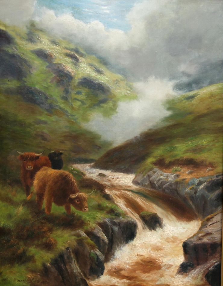 douglas_cameron