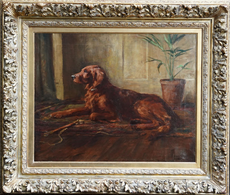 British Portrait of a Setter Dog  by George Denholm Armour at Richard Taylor Fine Art