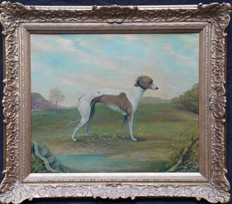Italian Greyhound Portrait at Richard Taylor Fine Art