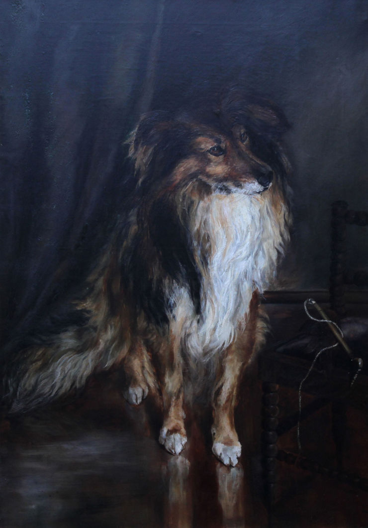 Collie Dog Portrait by Kathleen Olander Richard Taylor Fine Art