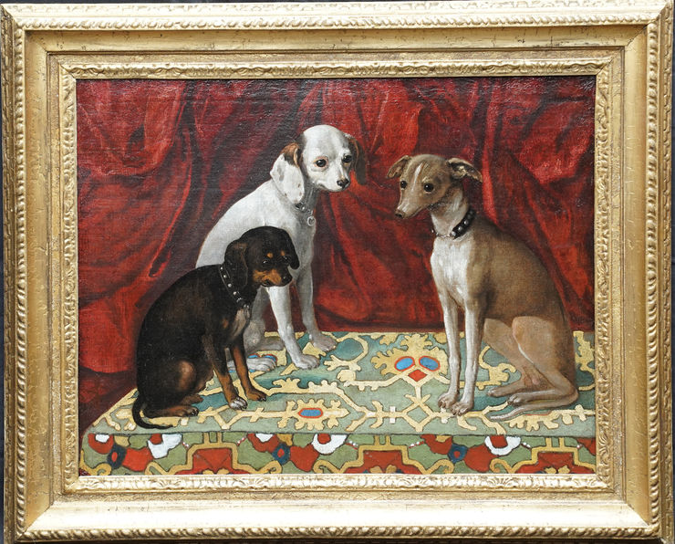 Italian Old Master Dogs by Francesco Fieravino at Richard Taylor Fine Art
