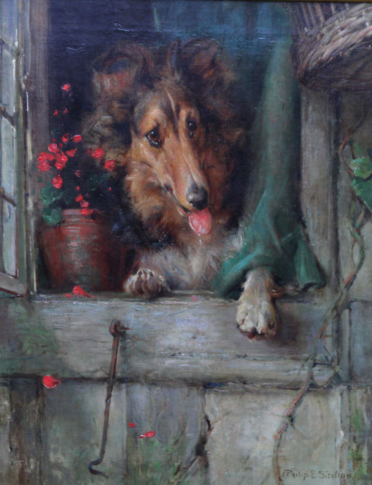 British 19th Century Collie Dog by Philip Eustace Stretton Richard Taylor Fine Art
