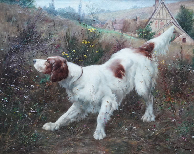 Victor Marcou - Dog portrait  - Richard Taylor Fine Art