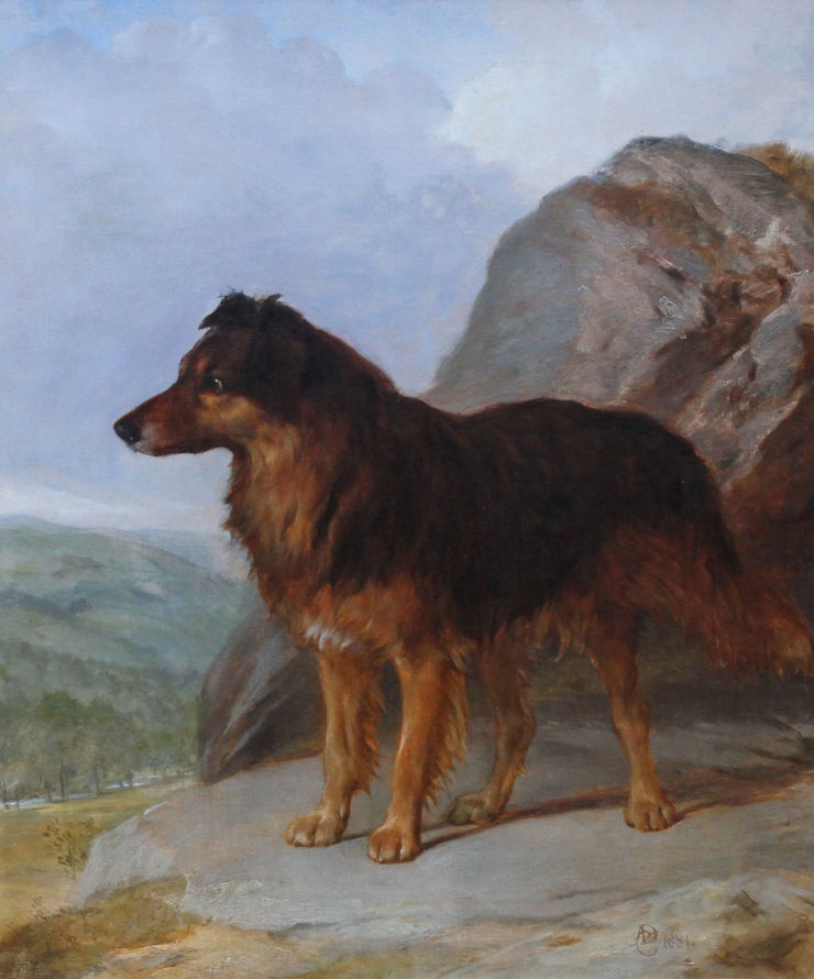 Collie Dog Portrait by Victorian artist Richard Taylor Fine Art