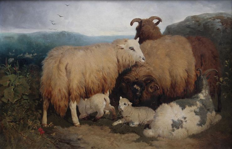 Sheep on Mountain Victorian British Landscape Art by William Watson Richard Taylor Fine Art