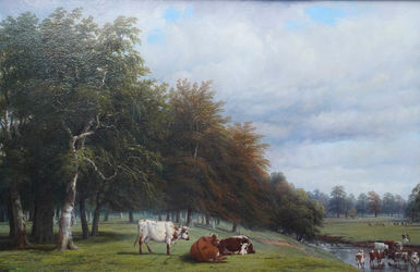 Cattle Grazing at Stoneleigh Park, Warwickshire