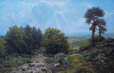 Sheep in Surrey Landscape