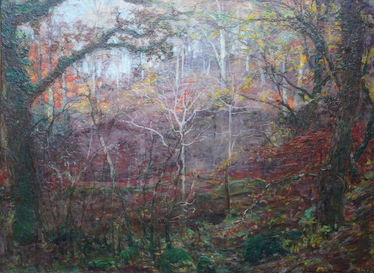 Autumnal Woodland Landscape, Ayrshire