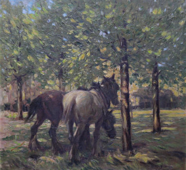 Portrait of Horses in Dappled Sunlight