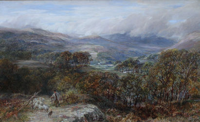 A Panoramic Shepherd's View