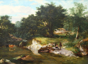 A Stream in the Forest