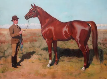 Race Horse Phoenix with Guillermo Kemmis