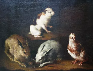 Rabbits, Dove and Guinea Pig in an Interior