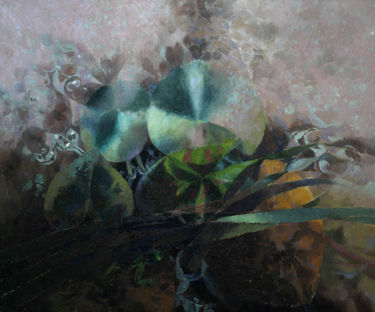 The Lily Pond