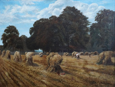 Harvest Landscape