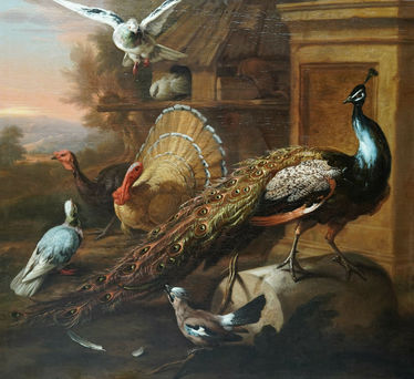 Peacock and Birds in a Landscape