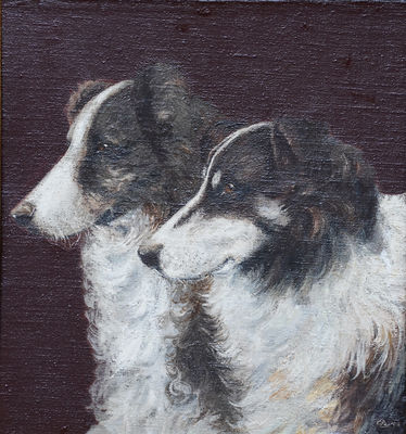 Edwardian Portrait of Two Collie Dogs