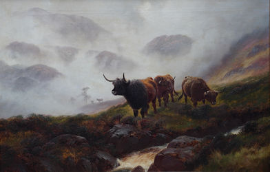 Cattle in the Mist at Ben Lomond, Scotland