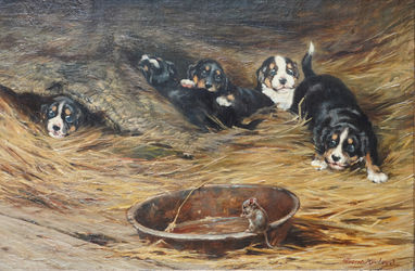 A Gleaner Mouse with On Looking Spaniel Puppies