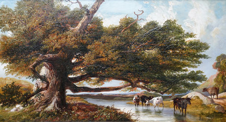 Cattle watering in a Landscape
