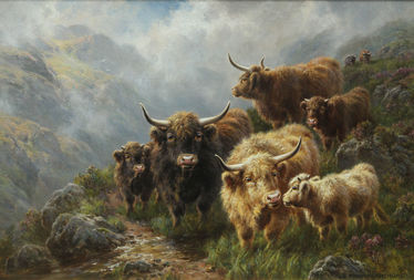Cattle on a Hillside Glen Coe Argyll 
