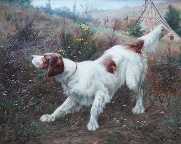 Portrait of a Setter Dog in a Landscape