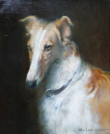 Portrait of a Borzoi Dog