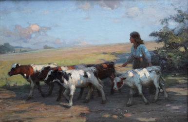 Girl Droving Calves