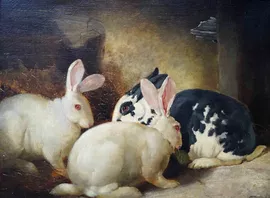 British 19th century Rabbits Richard Taylor Fine Art
