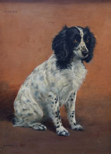 British Dog Art by Mabel Hollams Richard Taylor Fine Art